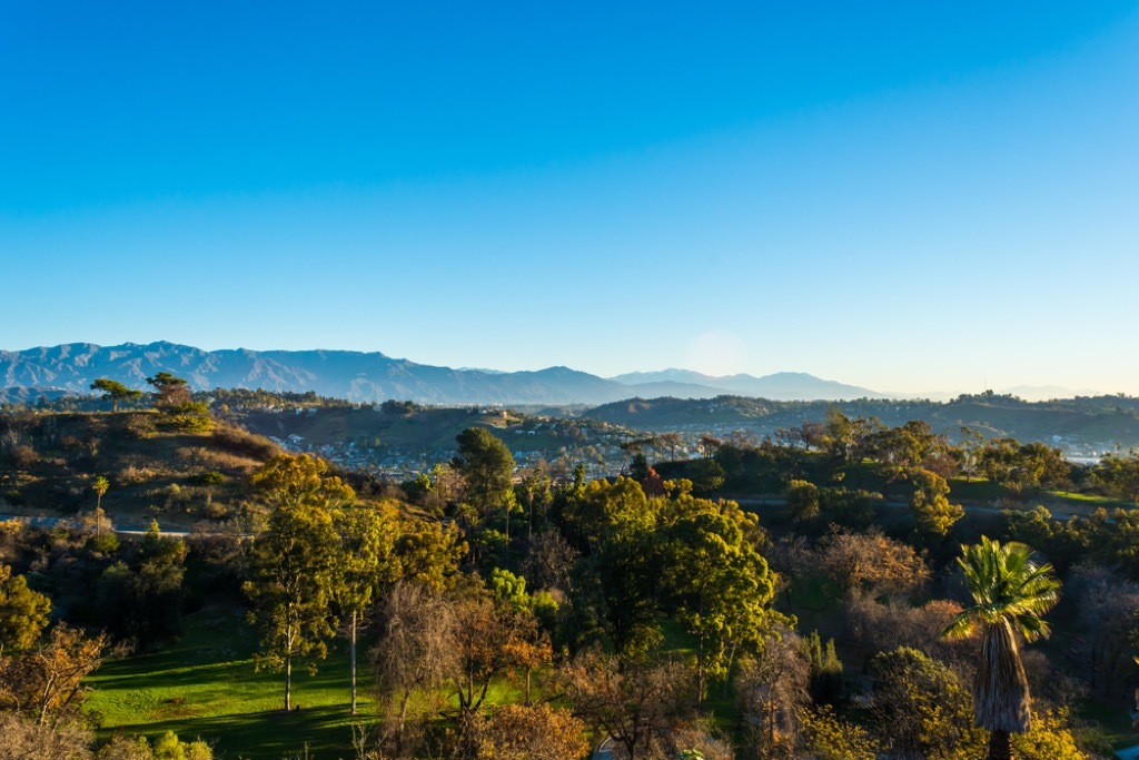 elysian park real missing treasure