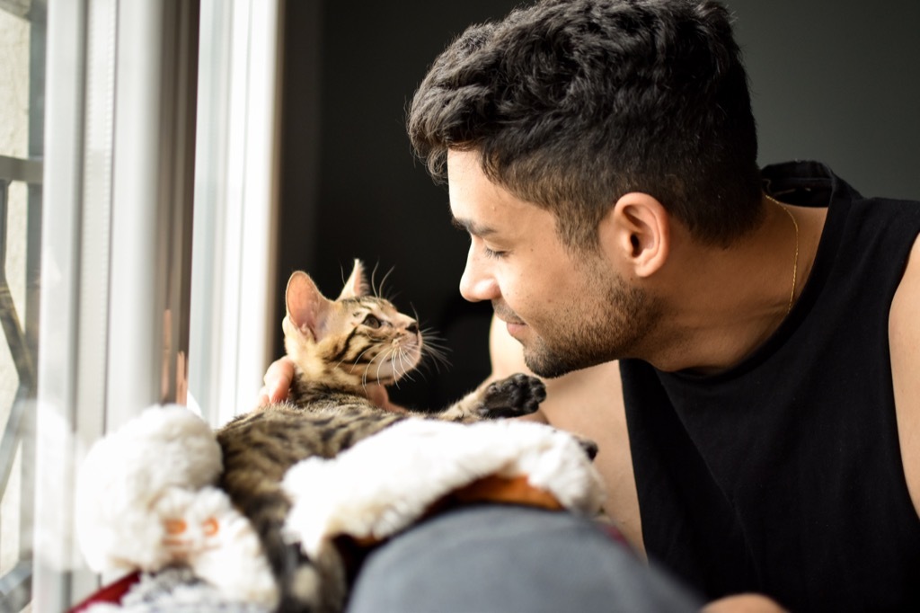 A bengal baby cat just got adopted by a m√©tis man. The pet is getting to know its master. Complicity and affection in a warm home.