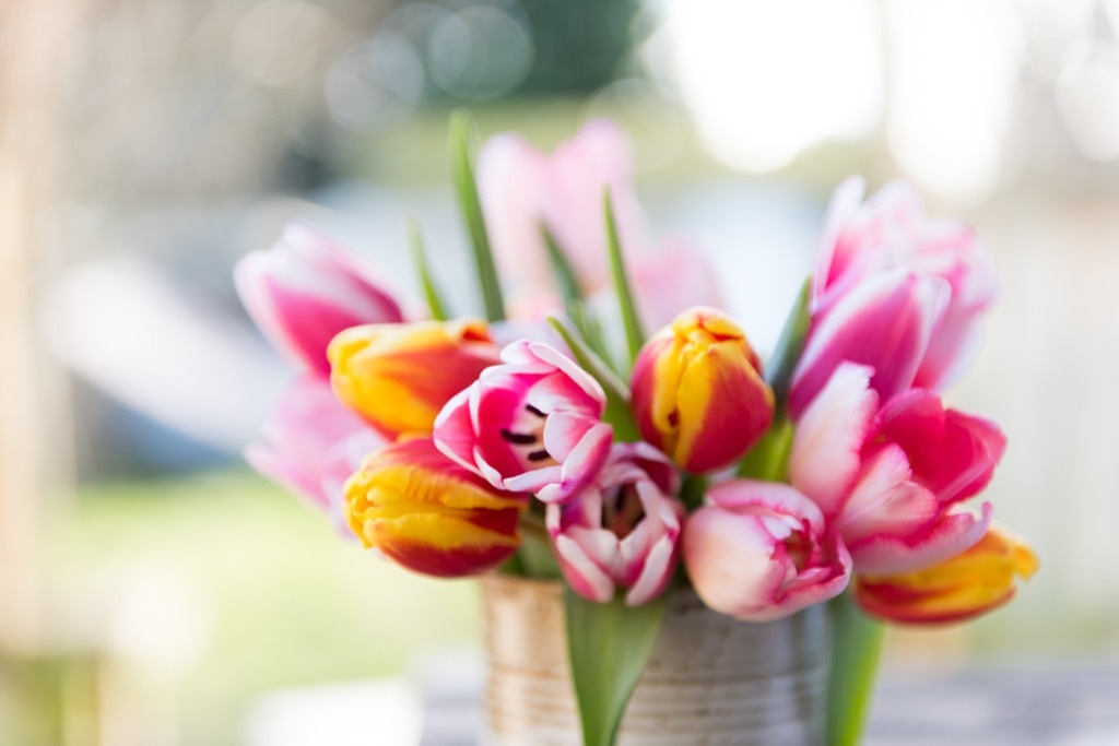 romantic flowers tulips