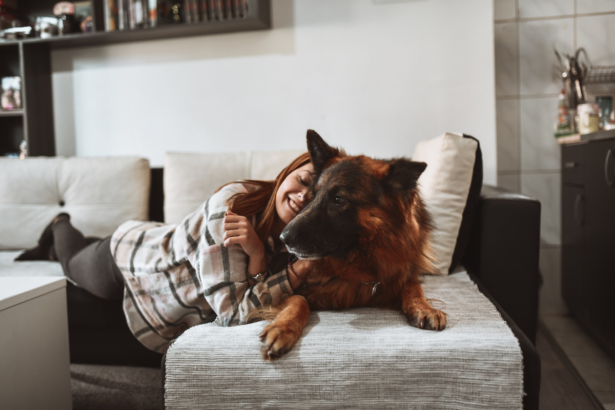 Smiling Female Embracing And Petting Her German Shepherd Dog On the Couch