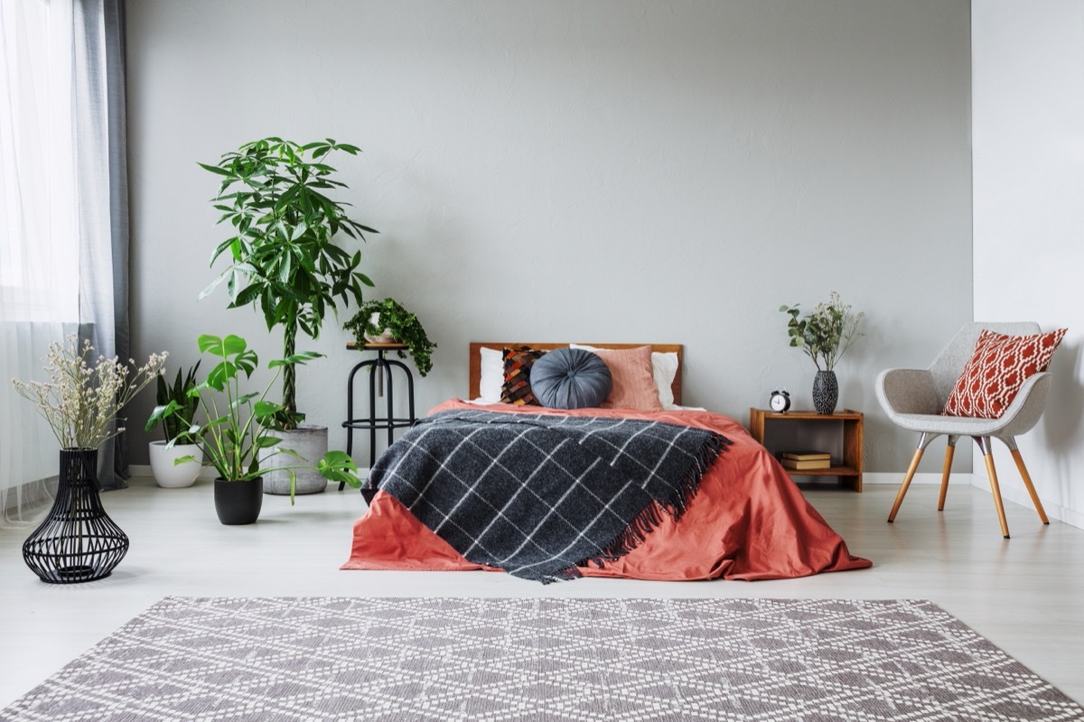 bed with red and black bedding in modern home