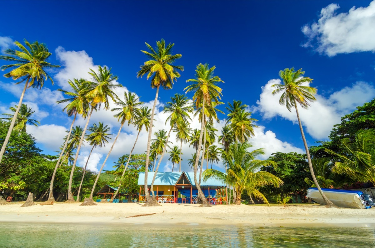 colorful shack on a beach surrounded by palm trees in San Andres y Providencia, Colombia