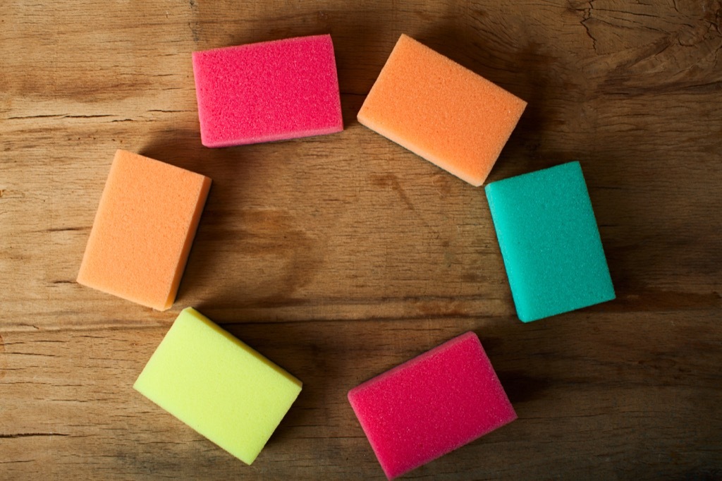 Sponges things you should clean every day