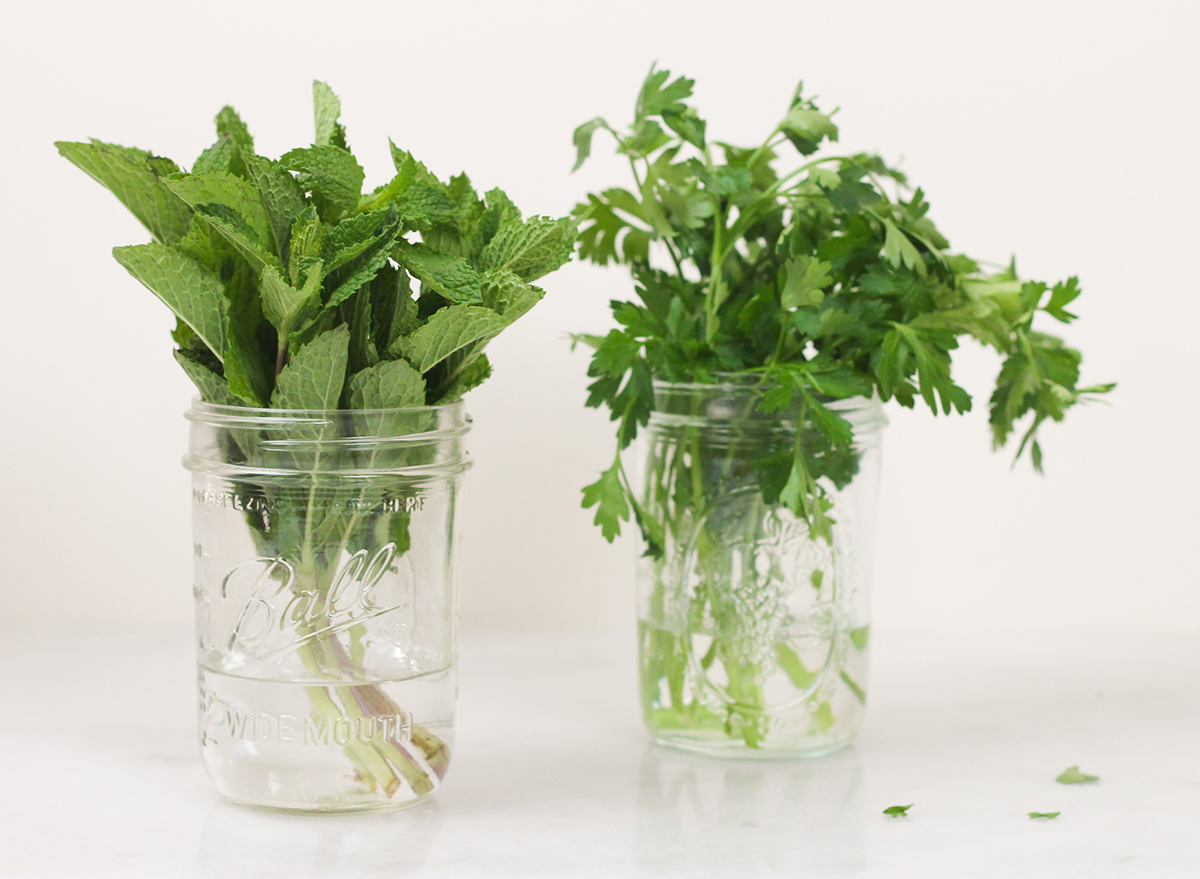 storing mint and parsley