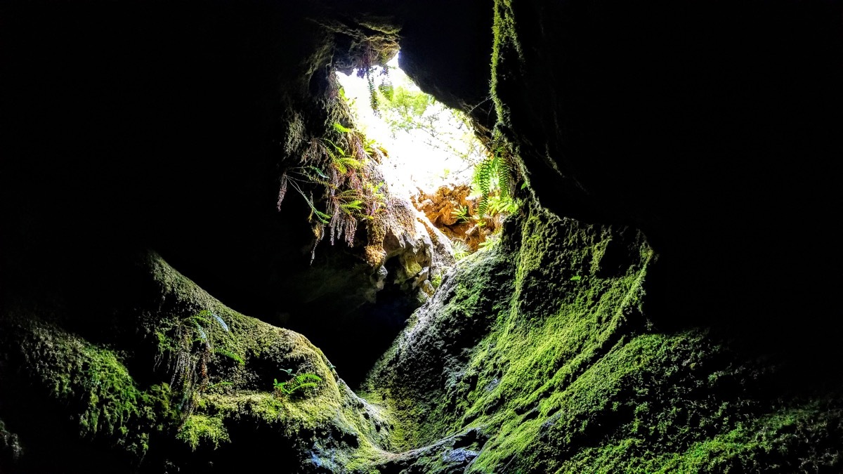 Ape Cave Washington magical caves in the united states