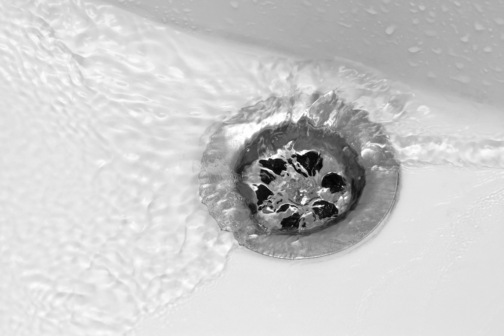 Bathroom drain things in your house attracting pests