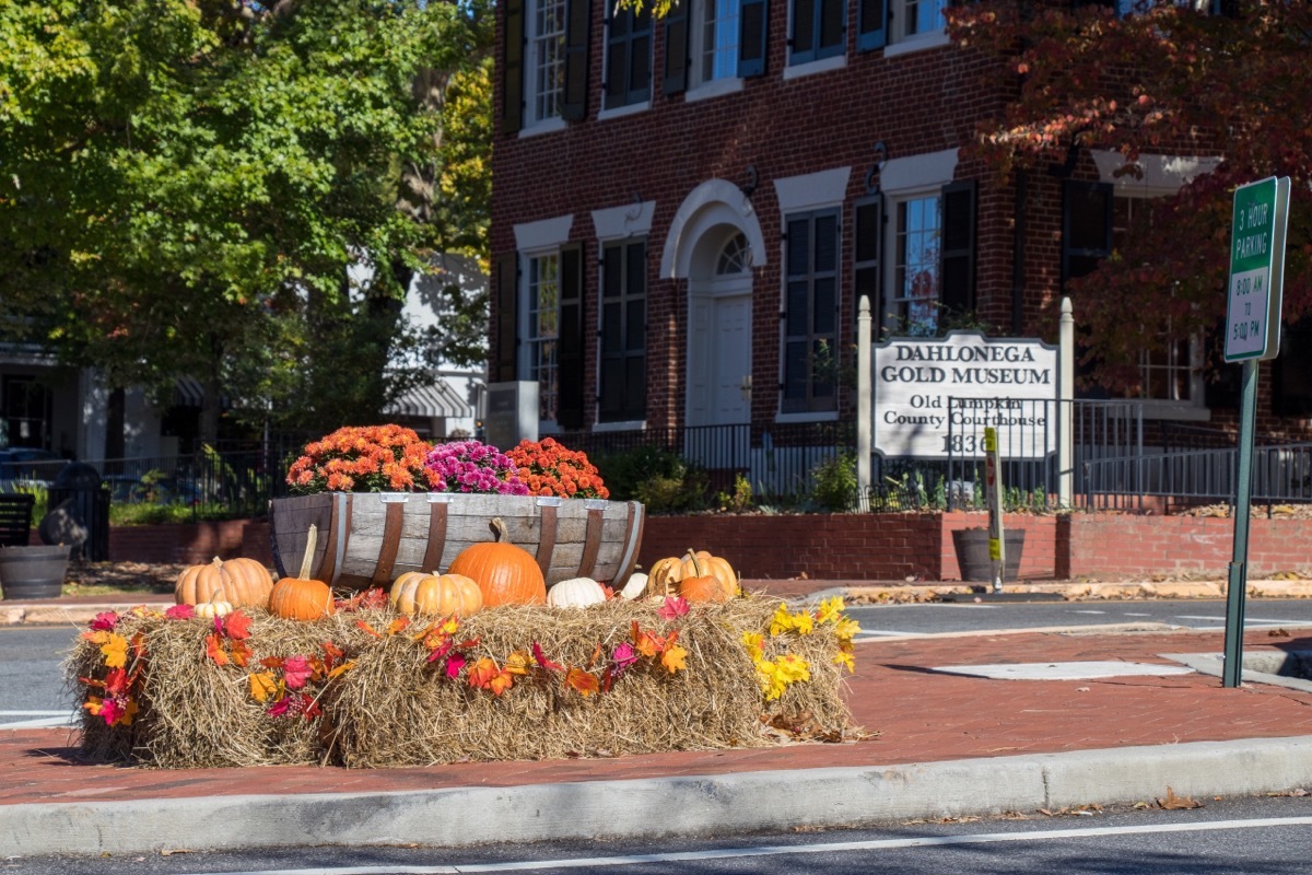 Dahlonega Georgia