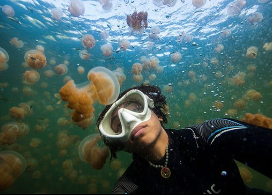 Woman Selfie with Jellyfish Selfies