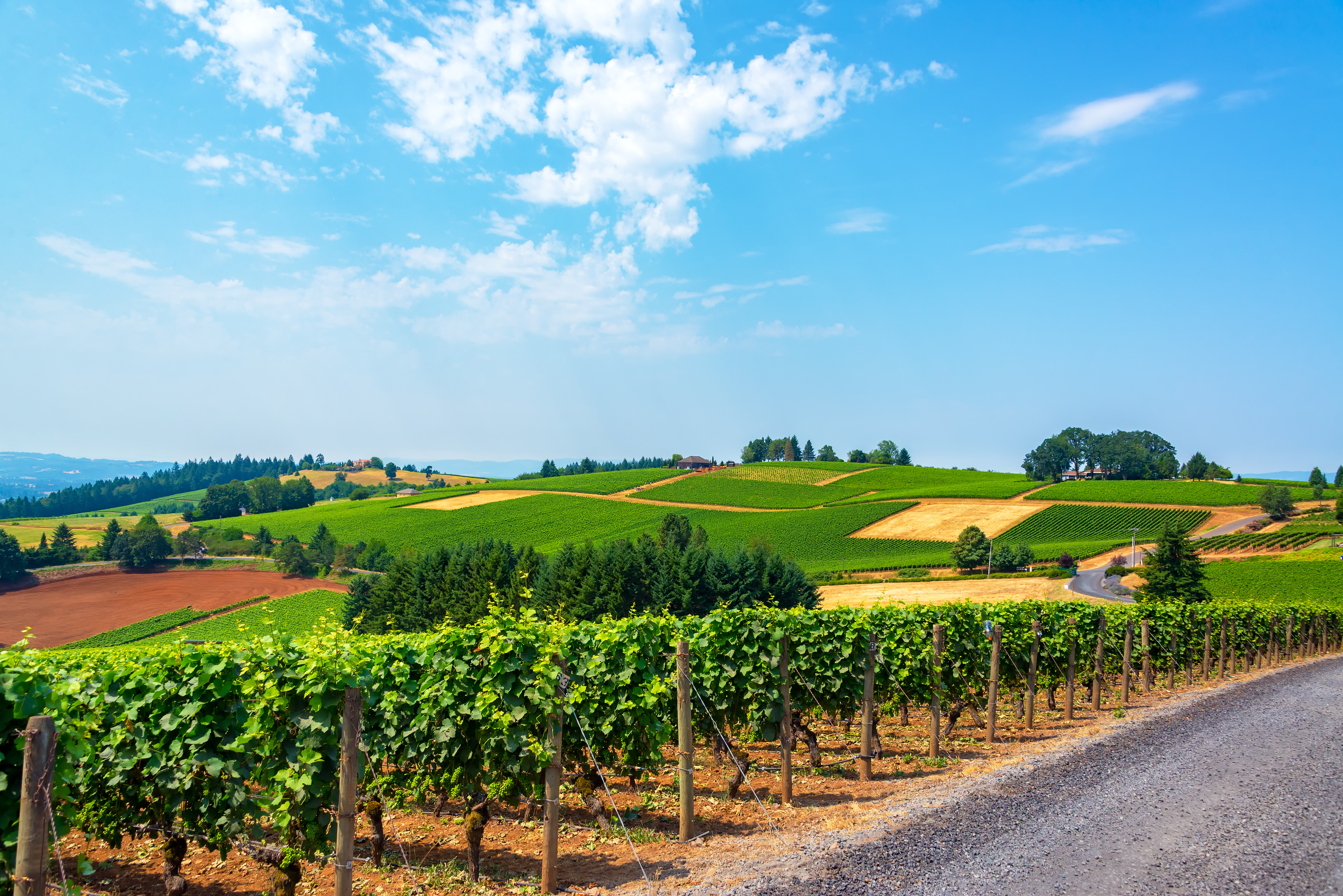 Wineries in Willamette Valley