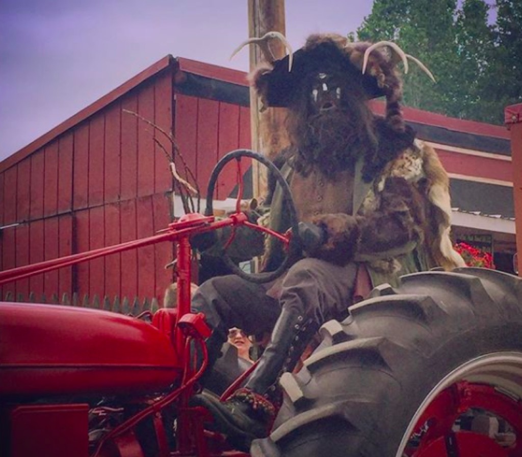 Kutztown Folk Festival state fairs