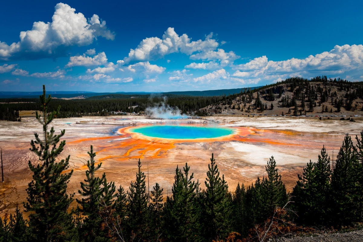 grand prismatic spring yellowstone national park