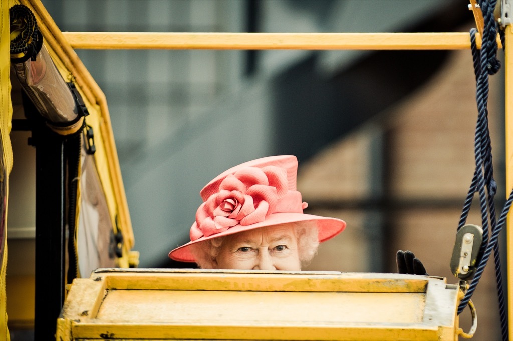 royal corgis queen elizabeth in a car